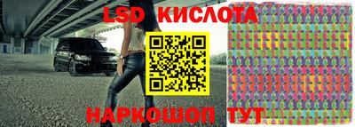 амф Владимир