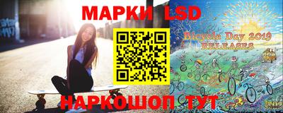 амф Владимир