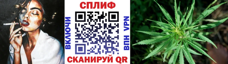 как найти наркотики  Кореновск  Бошки марихуана Ganja 
